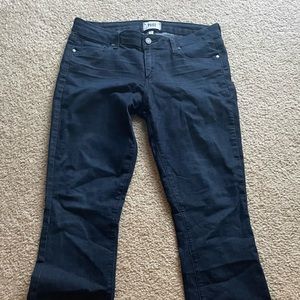 Blue Paige denim bootcut jeans.  Size 31
